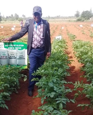 Kenyan campaign shares message of the late blight resistant potato with farmers field.jpg